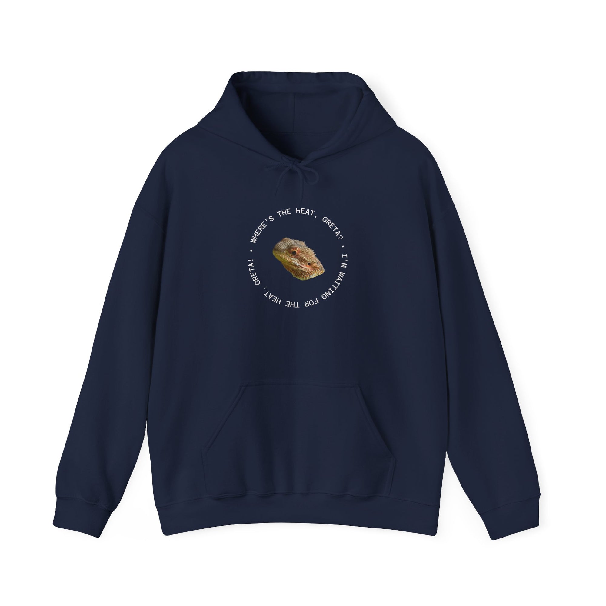 Bearded Dragon Funny, Cozy Motivational Sweatshirt for Everyday Comfort, Unisex Hoodie, Inspirational Gift for Friends, Relaxed Fit, Perfect for Holidays
