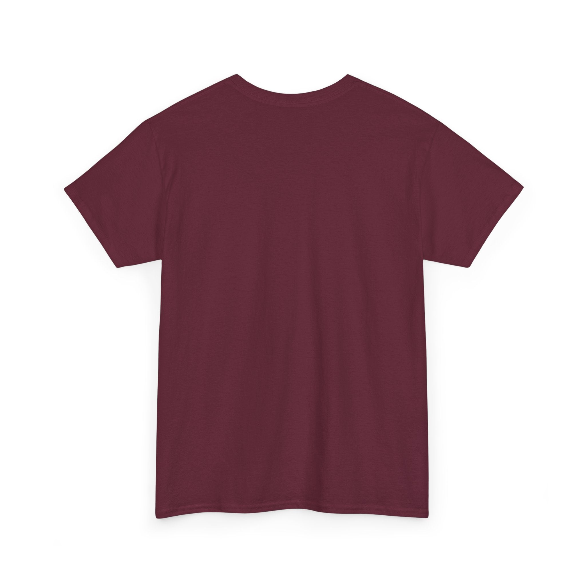 Wise Axolotl Unisex Heavy Cotton Tee, Humor Apparel, Animal Lover Gift, Casual Wear, Summer Tee, Meme Shirt