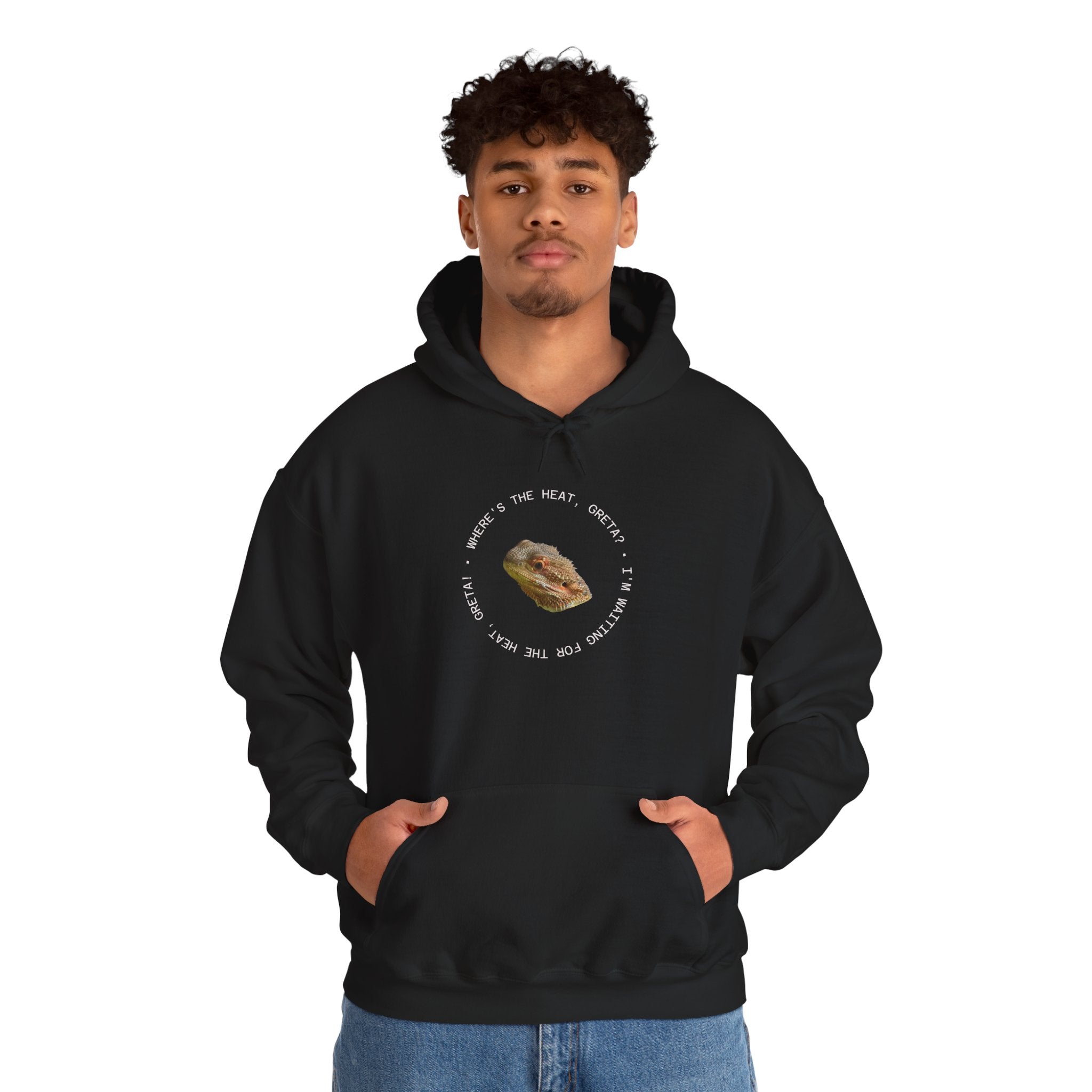 Bearded Dragon Funny, Cozy Motivational Sweatshirt for Everyday Comfort, Unisex Hoodie, Inspirational Gift for Friends, Relaxed Fit, Perfect for Holidays