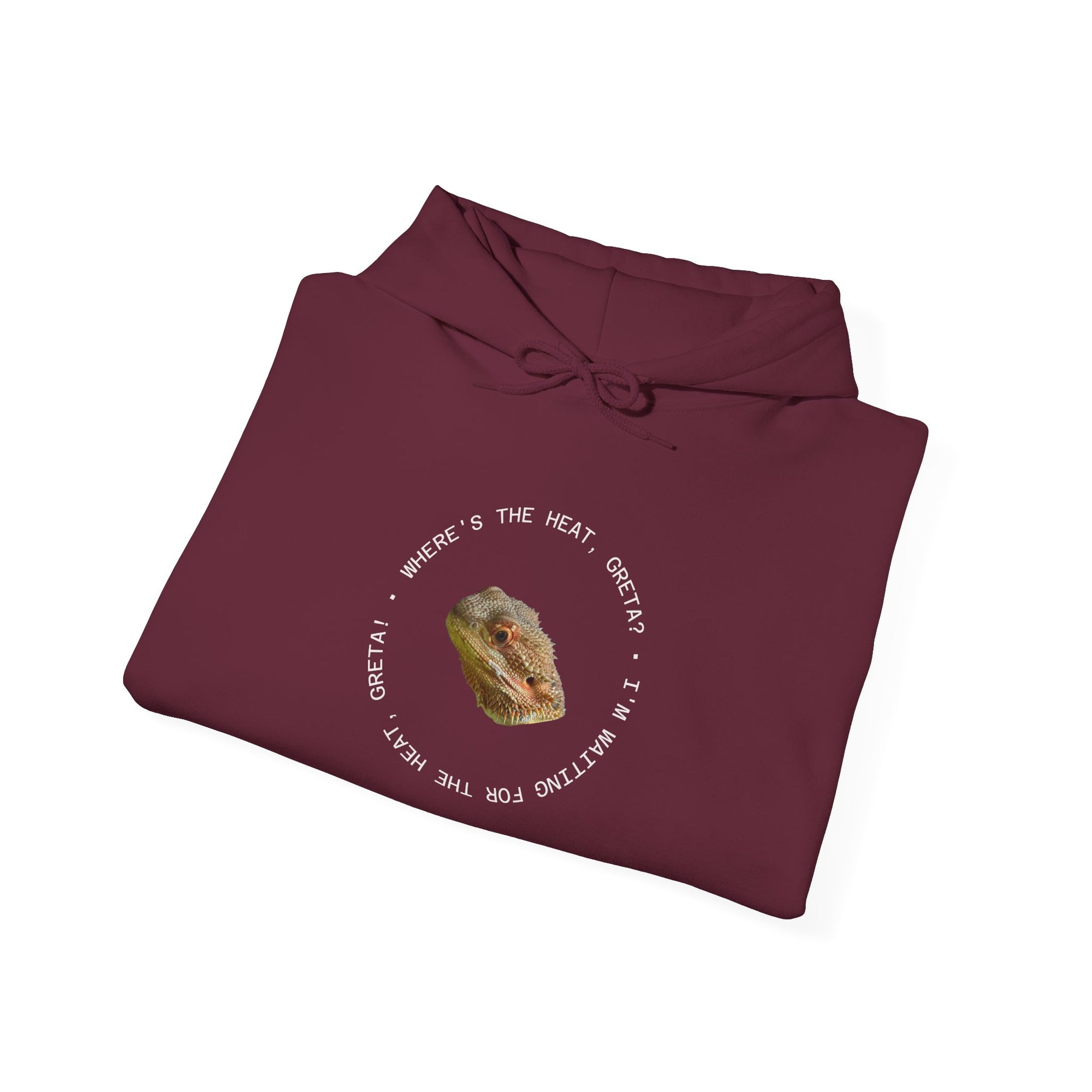 Bearded Dragon Funny, Cozy Motivational Sweatshirt for Everyday Comfort, Unisex Hoodie, Inspirational Gift for Friends, Relaxed Fit, Perfect for Holidays