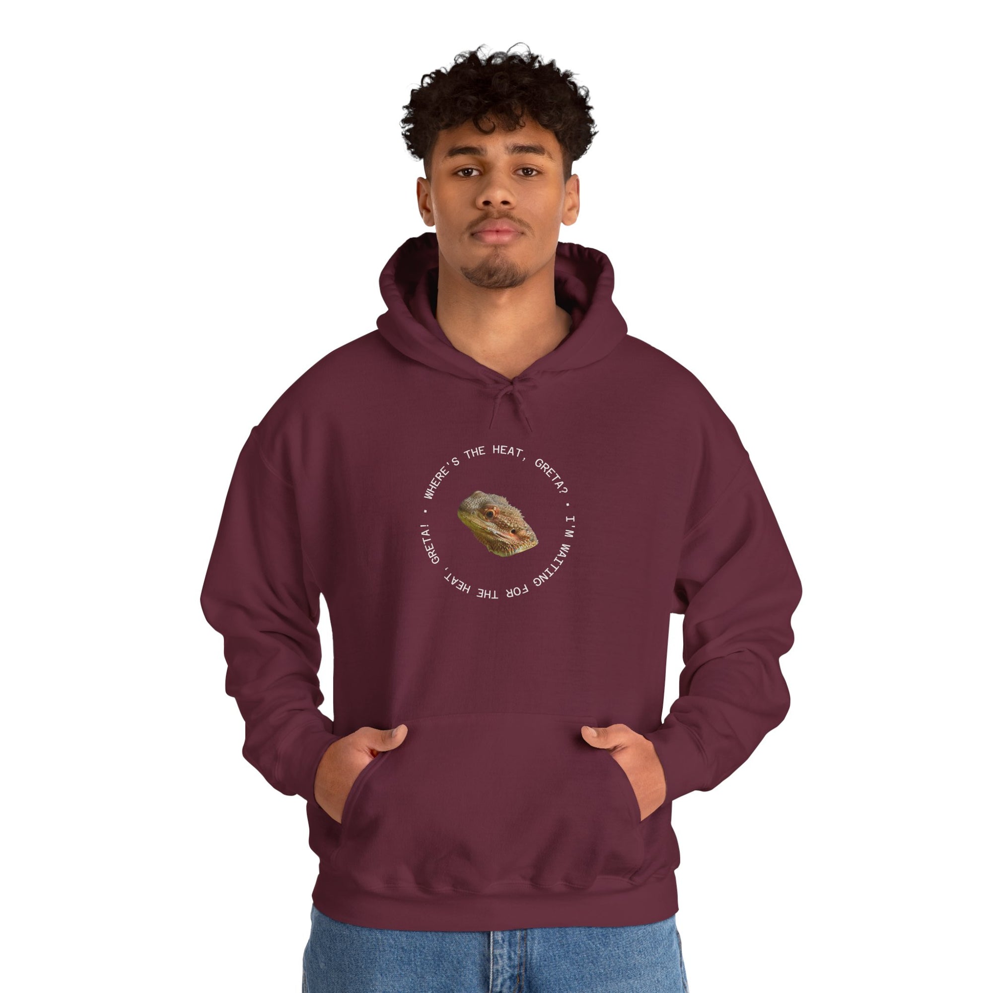 Bearded Dragon Funny, Cozy Motivational Sweatshirt for Everyday Comfort, Unisex Hoodie, Inspirational Gift for Friends, Relaxed Fit, Perfect for Holidays