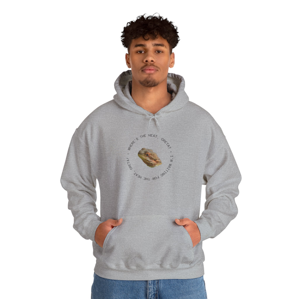 Bearded Dragon Funny, Cozy Motivational Sweatshirt for Everyday Comfort, Unisex Hoodie, Inspirational Gift for Friends, Relaxed Fit, Perfect for Holidays