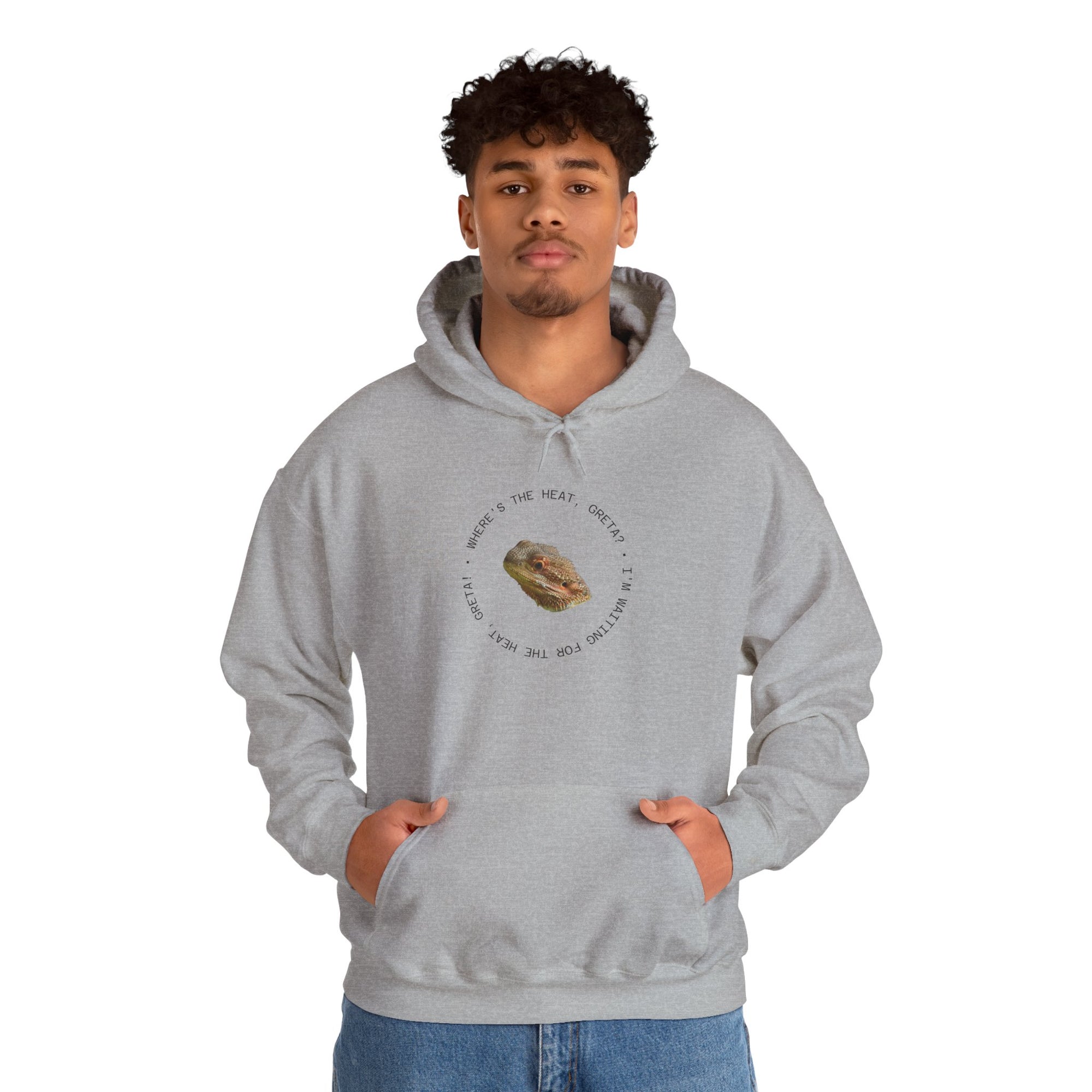Bearded Dragon Funny, Cozy Motivational Sweatshirt for Everyday Comfort, Unisex Hoodie, Inspirational Gift for Friends, Relaxed Fit, Perfect for Holidays
