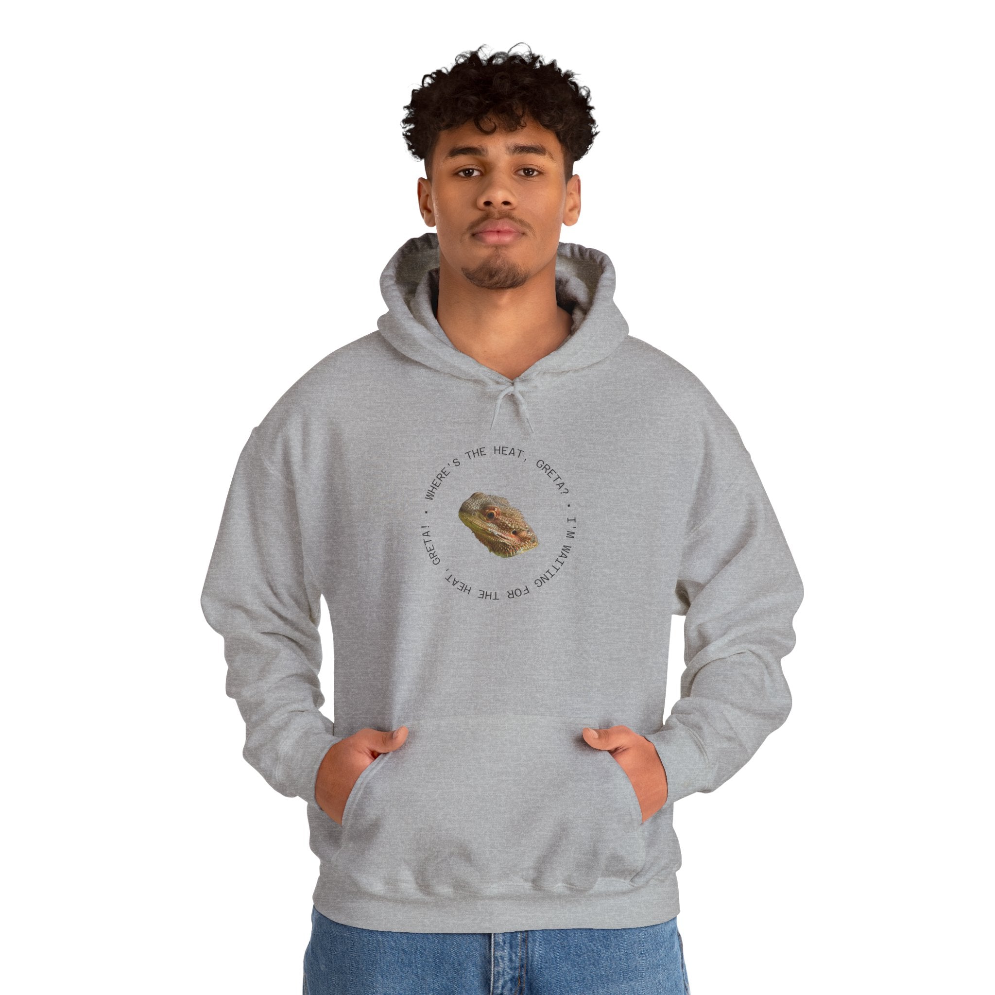 Bearded Dragon Funny, Cozy Motivational Sweatshirt for Everyday Comfort, Unisex Hoodie, Inspirational Gift for Friends, Relaxed Fit, Perfect for Holidays