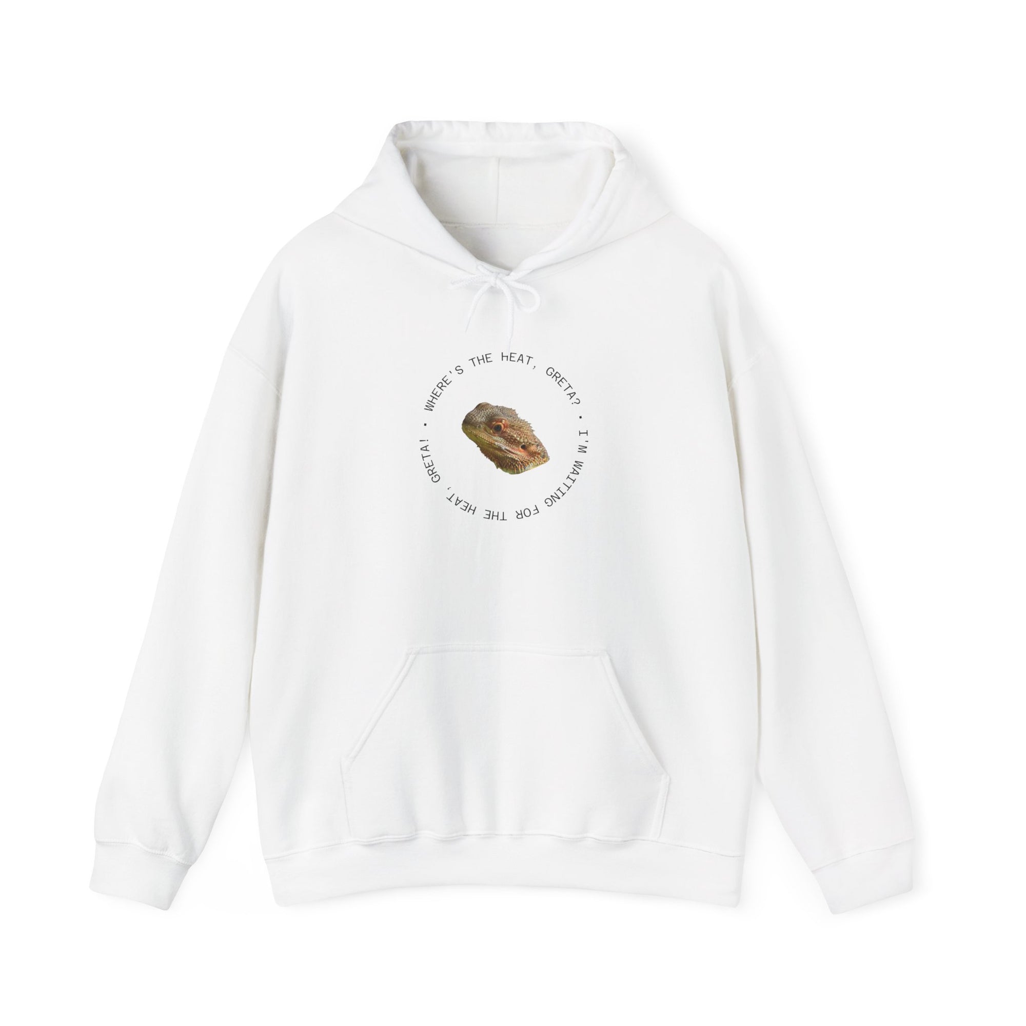 Bearded Dragon Funny, Cozy Motivational Sweatshirt for Everyday Comfort, Unisex Hoodie, Inspirational Gift for Friends, Relaxed Fit, Perfect for Holidays