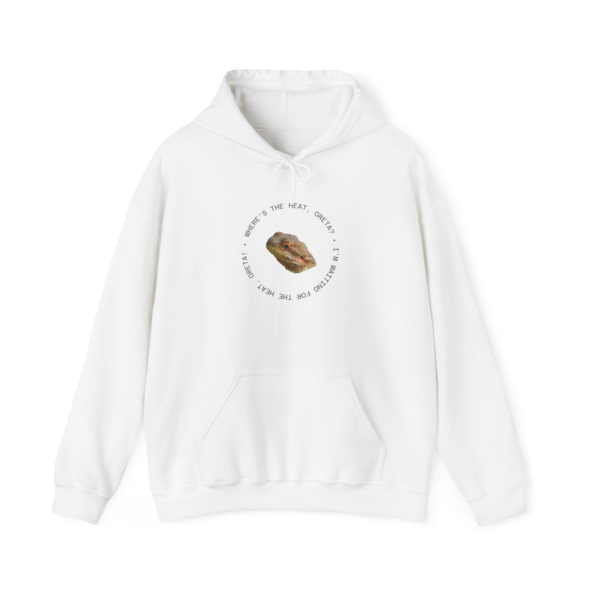 Bearded Dragon Funny, Cozy Motivational Sweatshirt for Everyday Comfort, Unisex Hoodie, Inspirational Gift for Friends, Relaxed Fit, Perfect for Holidays