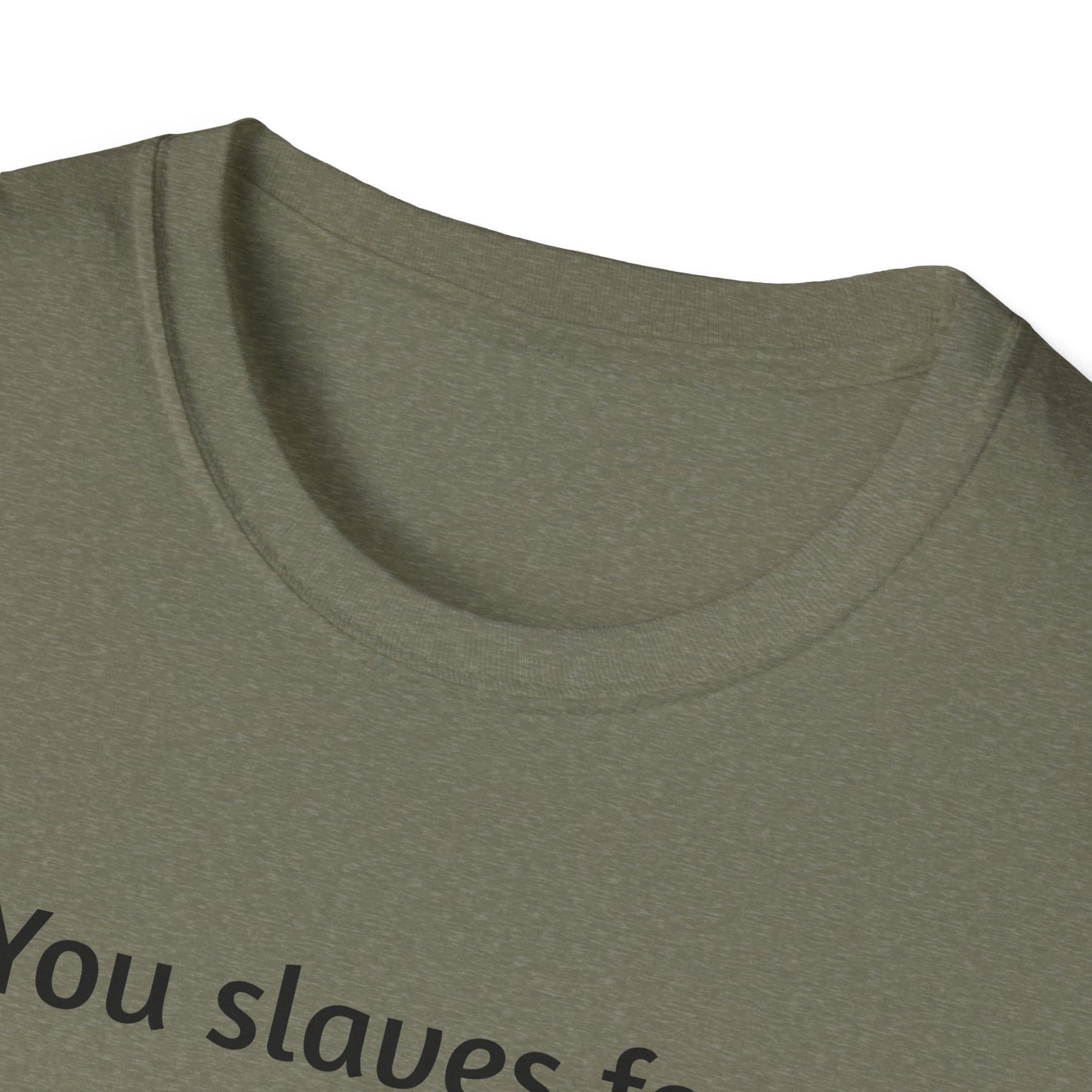 Funny Bearded Dragon Unisex T-Shirt, Humor Apparel, Animal Lover Gift, Casual Wear, Summer Tee, Meme Shirt