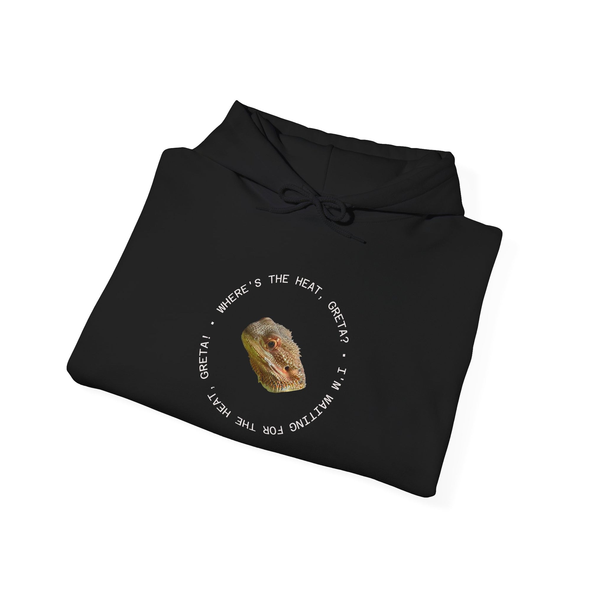 Bearded Dragon Funny, Cozy Motivational Sweatshirt for Everyday Comfort, Unisex Hoodie, Inspirational Gift for Friends, Relaxed Fit, Perfect for Holidays