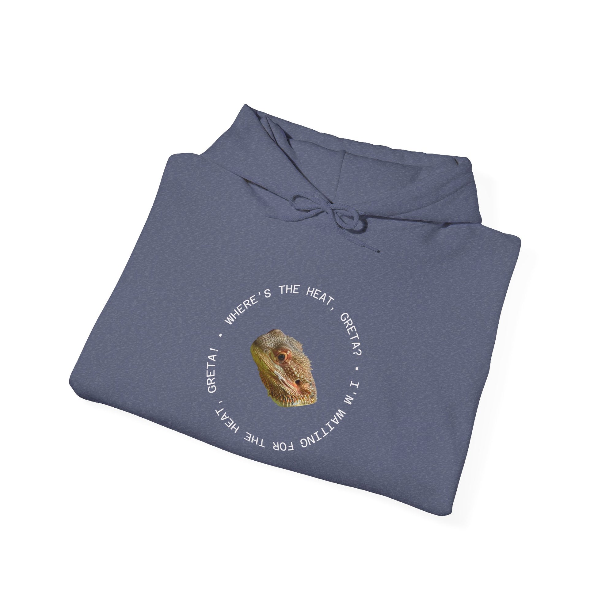 Bearded Dragon Funny, Cozy Motivational Sweatshirt for Everyday Comfort, Unisex Hoodie, Inspirational Gift for Friends, Relaxed Fit, Perfect for Holidays