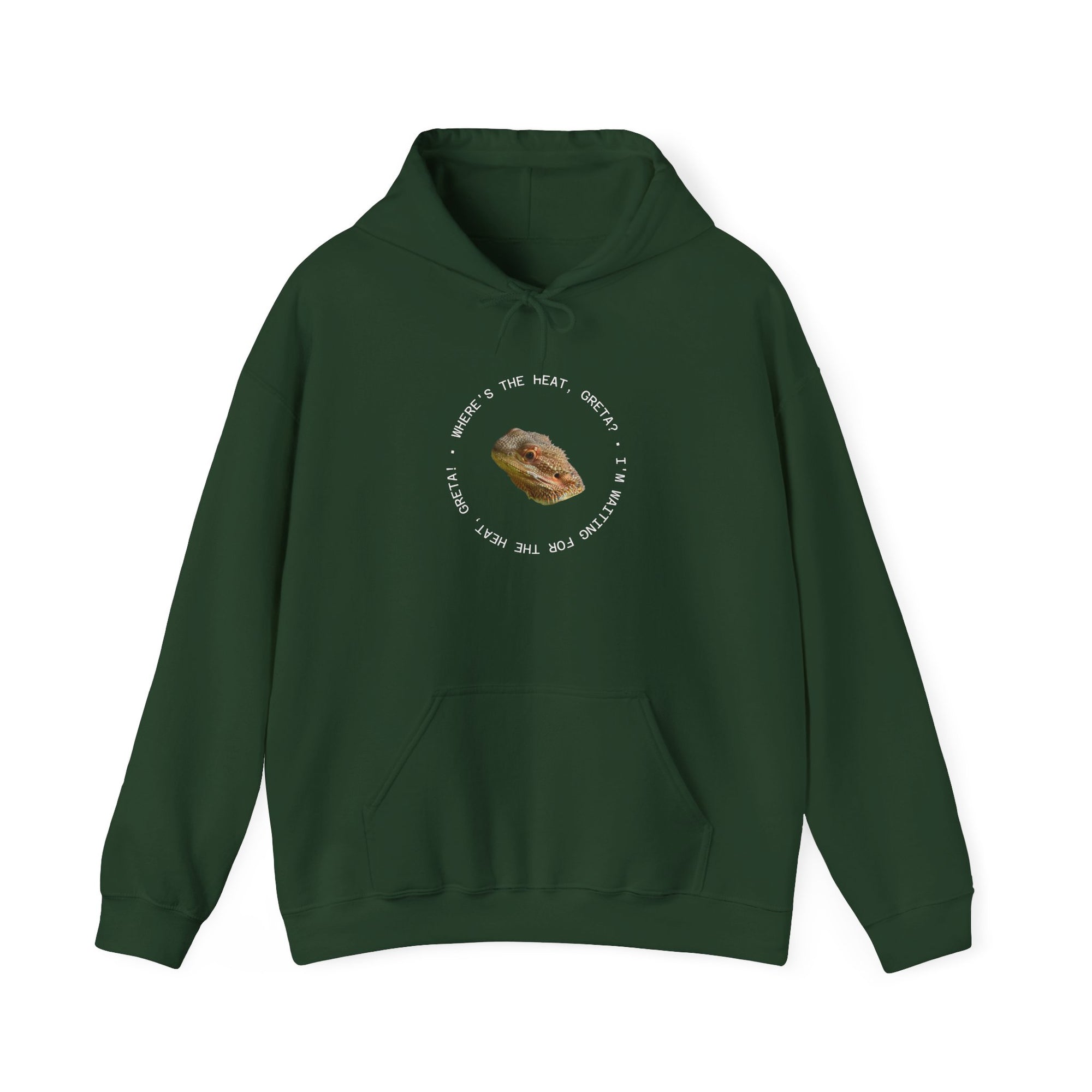 Bearded Dragon Funny, Cozy Motivational Sweatshirt for Everyday Comfort, Unisex Hoodie, Inspirational Gift for Friends, Relaxed Fit, Perfect for Holidays