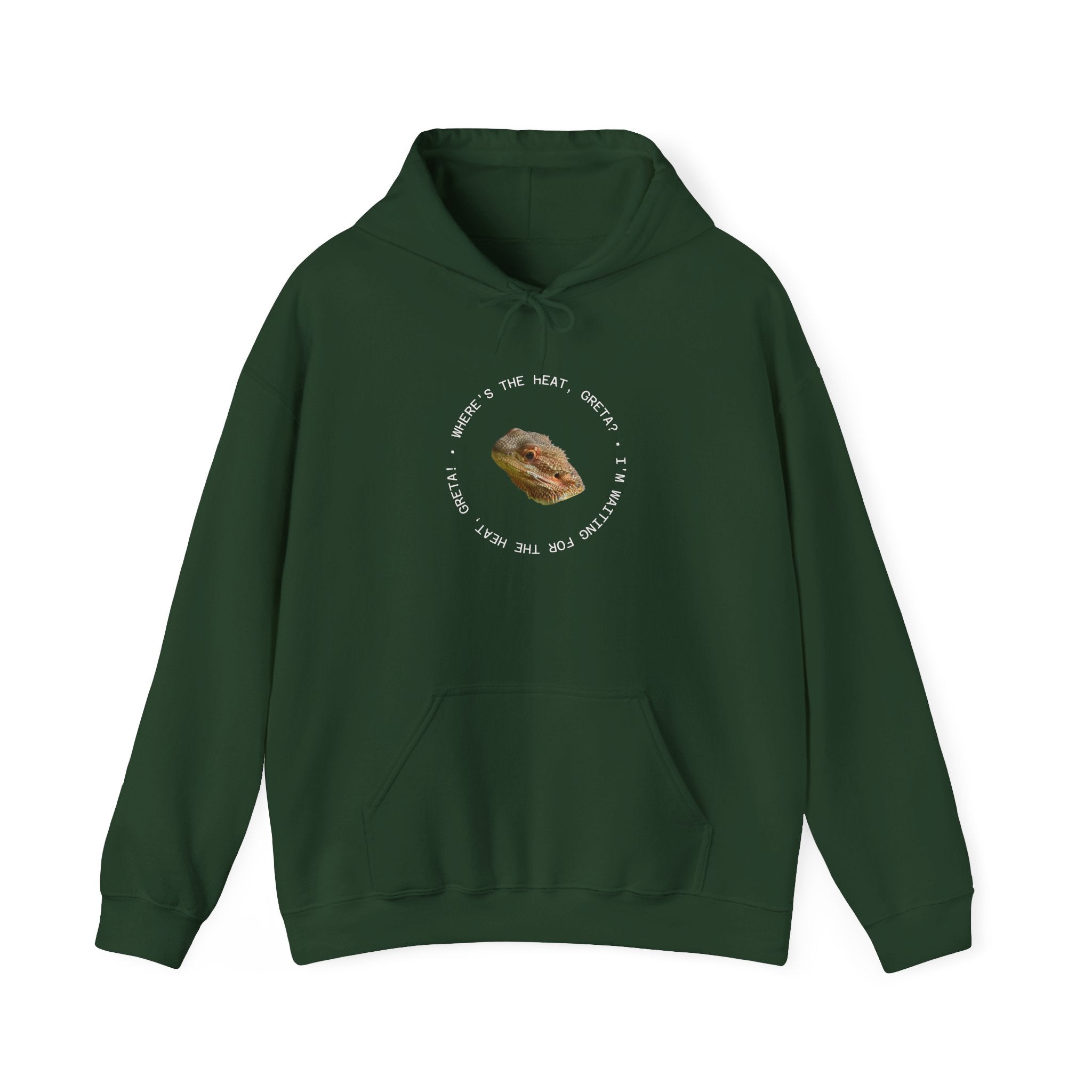 Bearded Dragon Funny, Cozy Motivational Sweatshirt for Everyday Comfort, Unisex Hoodie, Inspirational Gift for Friends, Relaxed Fit, Perfect for Holidays