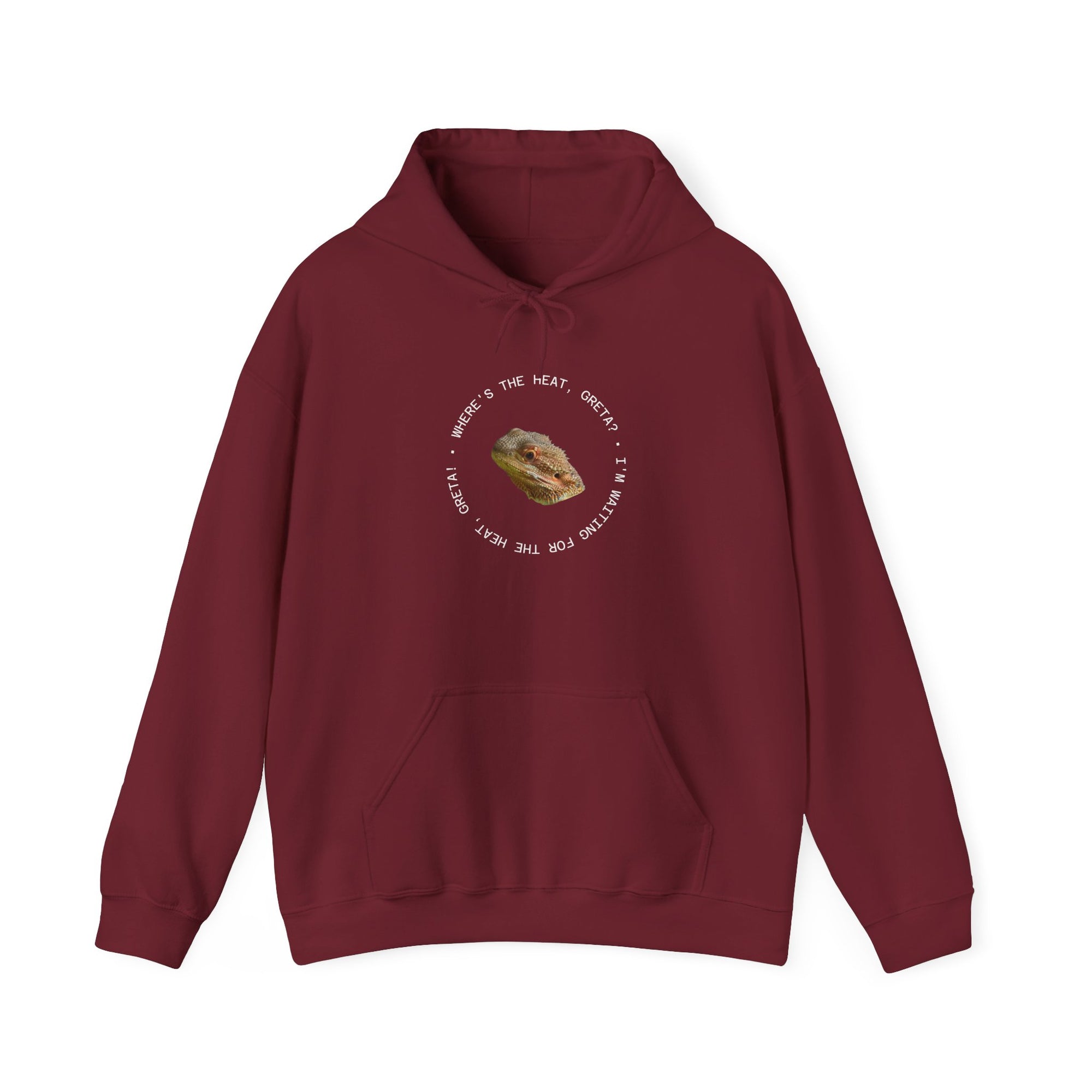 Bearded Dragon Funny, Cozy Motivational Sweatshirt for Everyday Comfort, Unisex Hoodie, Inspirational Gift for Friends, Relaxed Fit, Perfect for Holidays