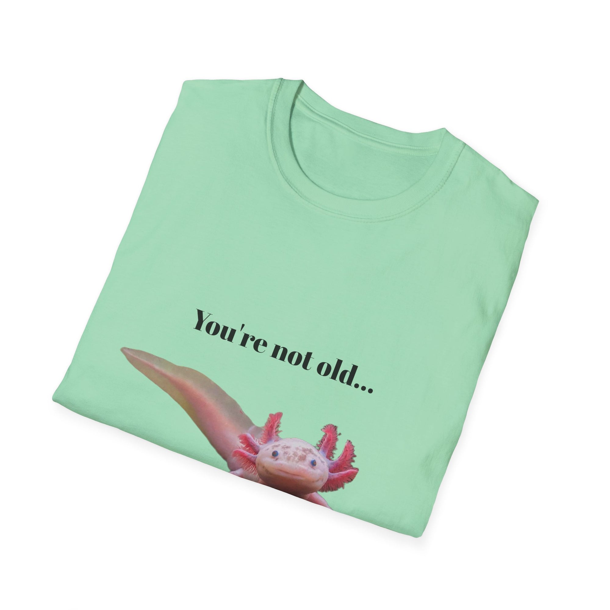 Axolotl Funny Unisex Softstyle T-Shirt