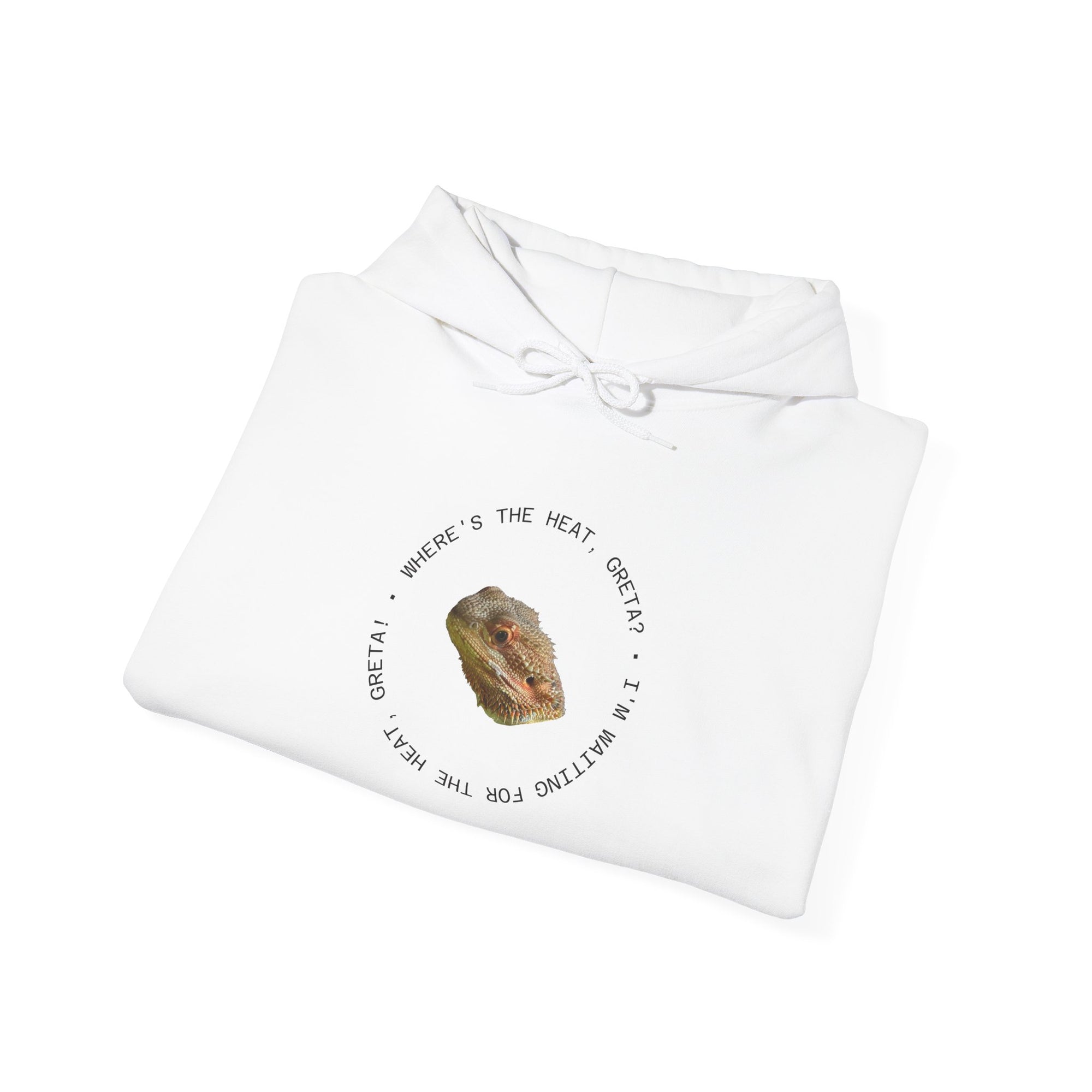 Bearded Dragon Funny, Cozy Motivational Sweatshirt for Everyday Comfort, Unisex Hoodie, Inspirational Gift for Friends, Relaxed Fit, Perfect for Holidays