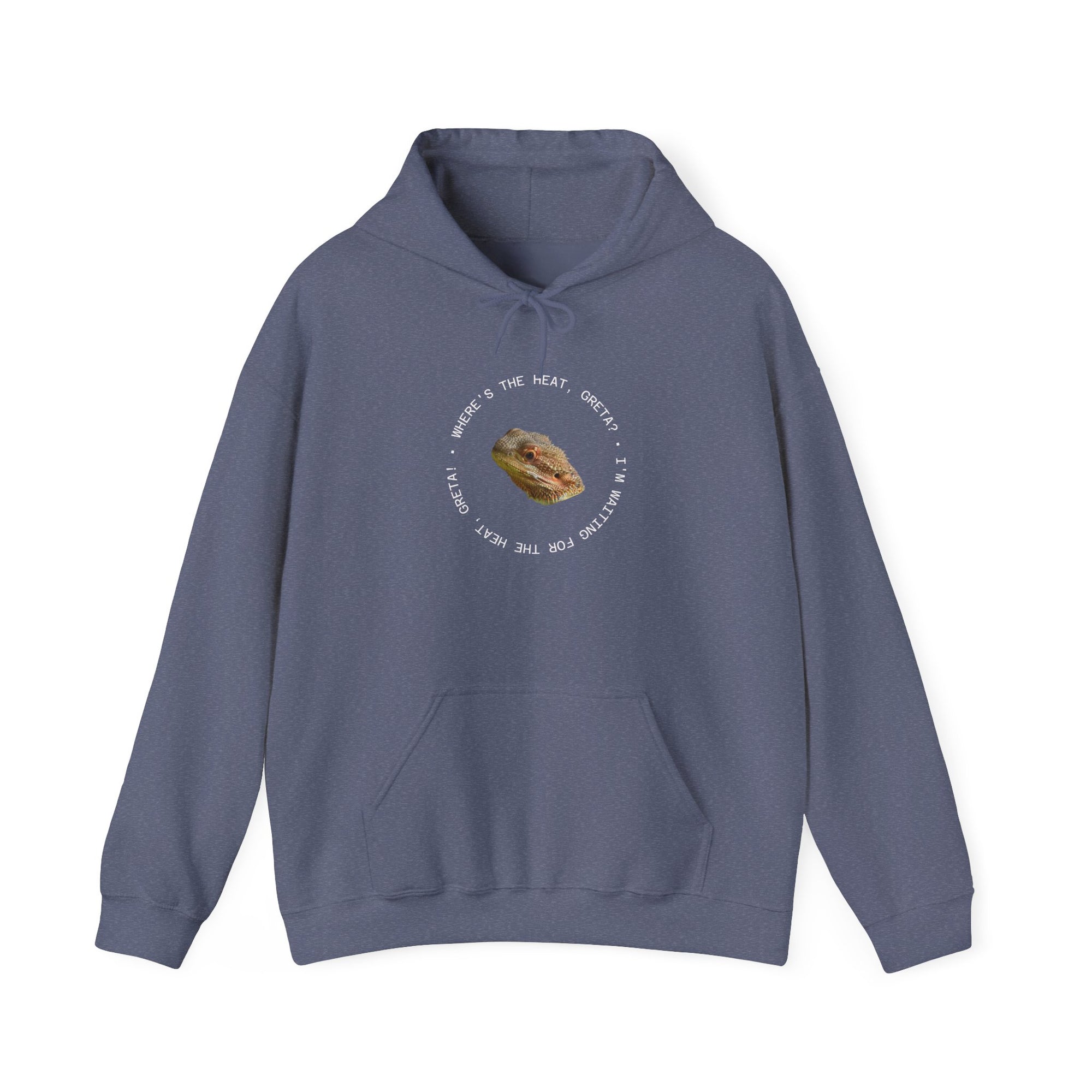Bearded Dragon Funny, Cozy Motivational Sweatshirt for Everyday Comfort, Unisex Hoodie, Inspirational Gift for Friends, Relaxed Fit, Perfect for Holidays