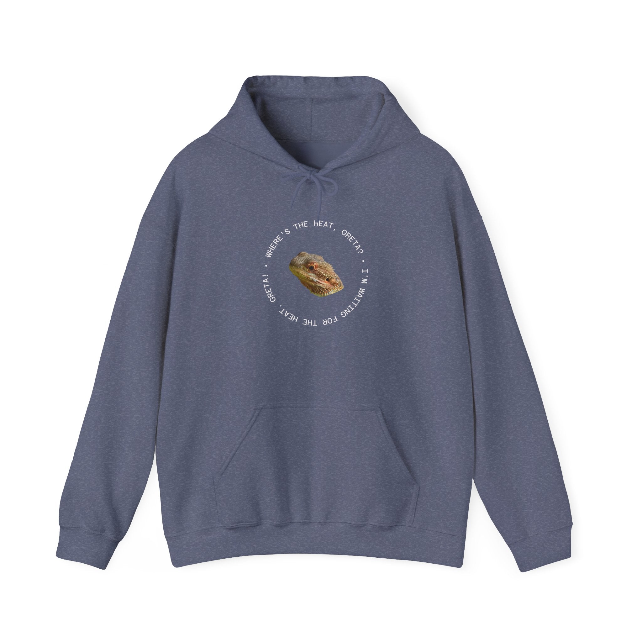 Bearded Dragon Funny, Cozy Motivational Sweatshirt for Everyday Comfort, Unisex Hoodie, Inspirational Gift for Friends, Relaxed Fit, Perfect for Holidays