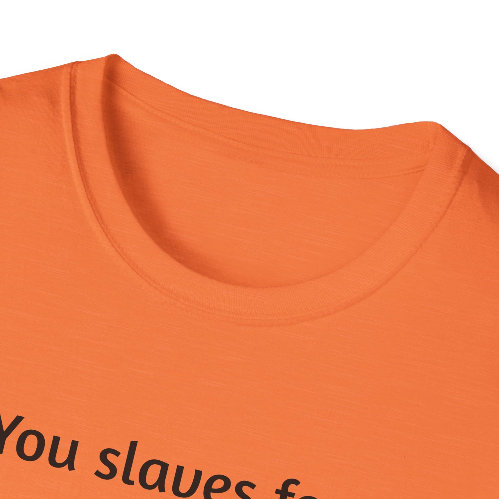 Funny Bearded Dragon Unisex T-Shirt, Humor Apparel, Animal Lover Gift, Casual Wear, Summer Tee, Meme Shirt