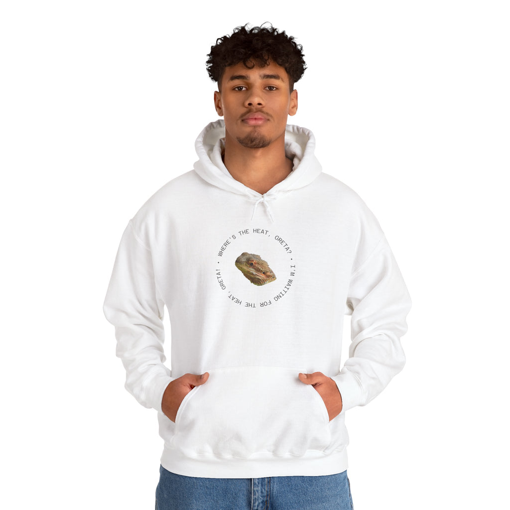 Bearded Dragon Funny, Cozy Motivational Sweatshirt for Everyday Comfort, Unisex Hoodie, Inspirational Gift for Friends, Relaxed Fit, Perfect for Holidays