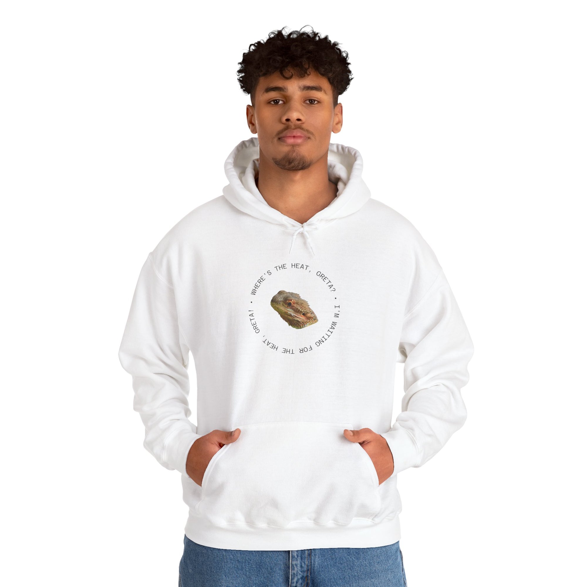Bearded Dragon Funny, Cozy Motivational Sweatshirt for Everyday Comfort, Unisex Hoodie, Inspirational Gift for Friends, Relaxed Fit, Perfect for Holidays
