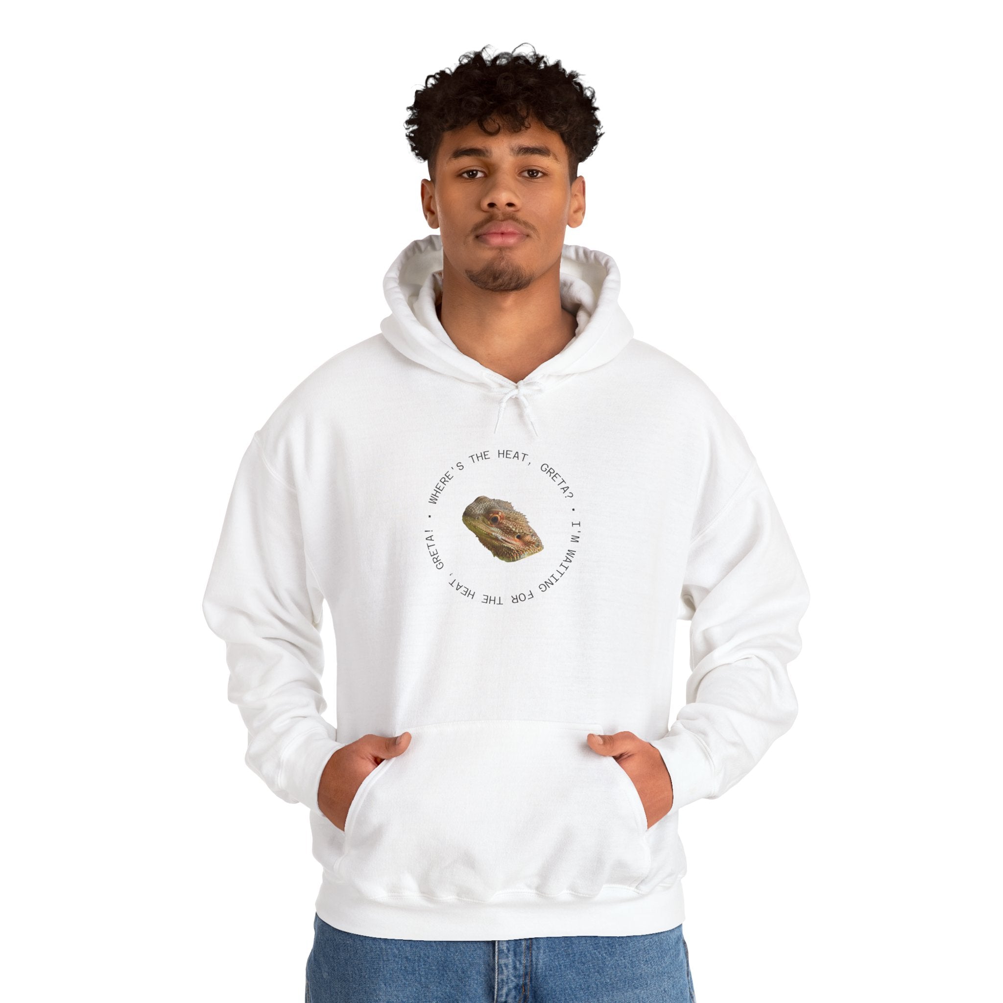 Bearded Dragon Funny, Cozy Motivational Sweatshirt for Everyday Comfort, Unisex Hoodie, Inspirational Gift for Friends, Relaxed Fit, Perfect for Holidays