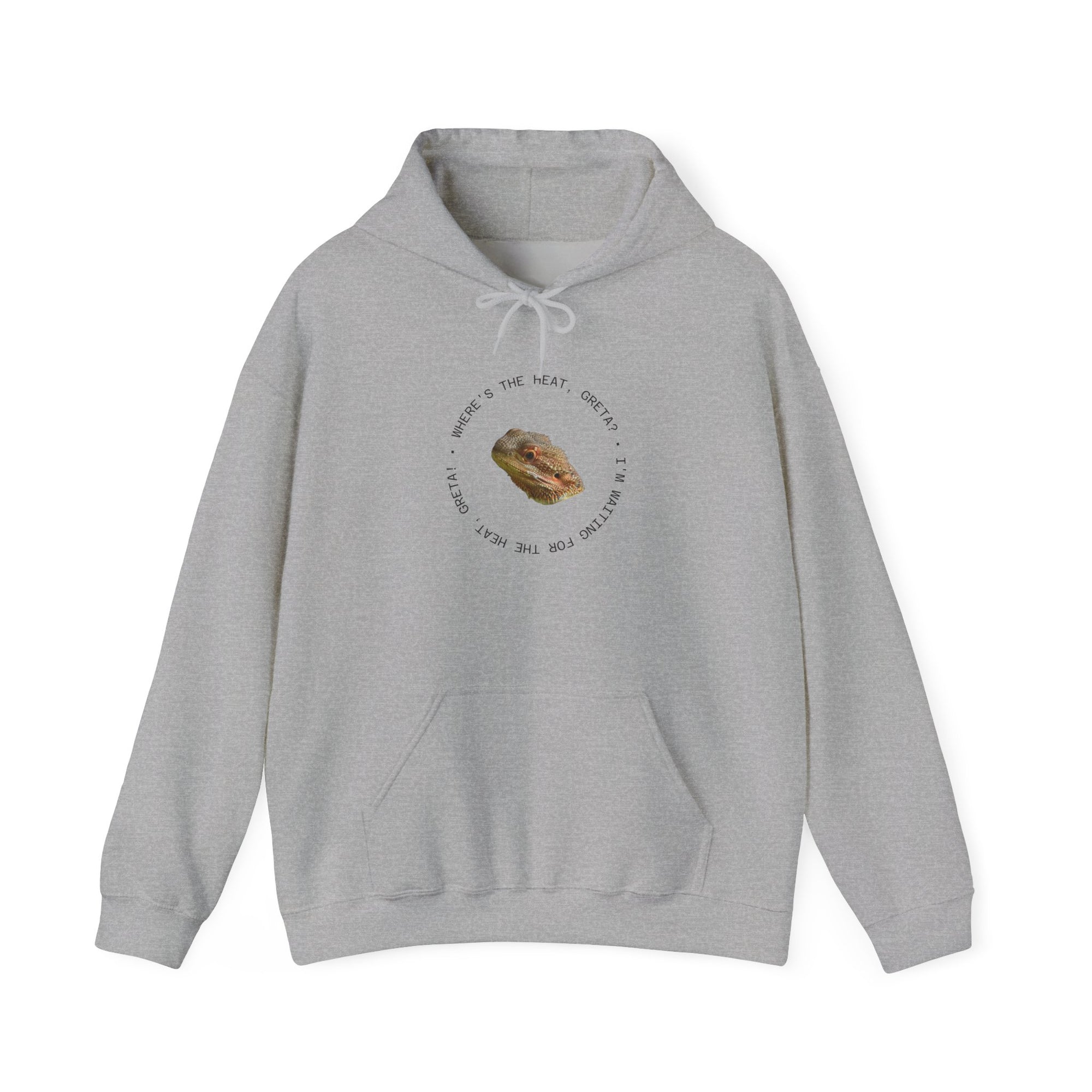 Bearded Dragon Funny, Cozy Motivational Sweatshirt for Everyday Comfort, Unisex Hoodie, Inspirational Gift for Friends, Relaxed Fit, Perfect for Holidays