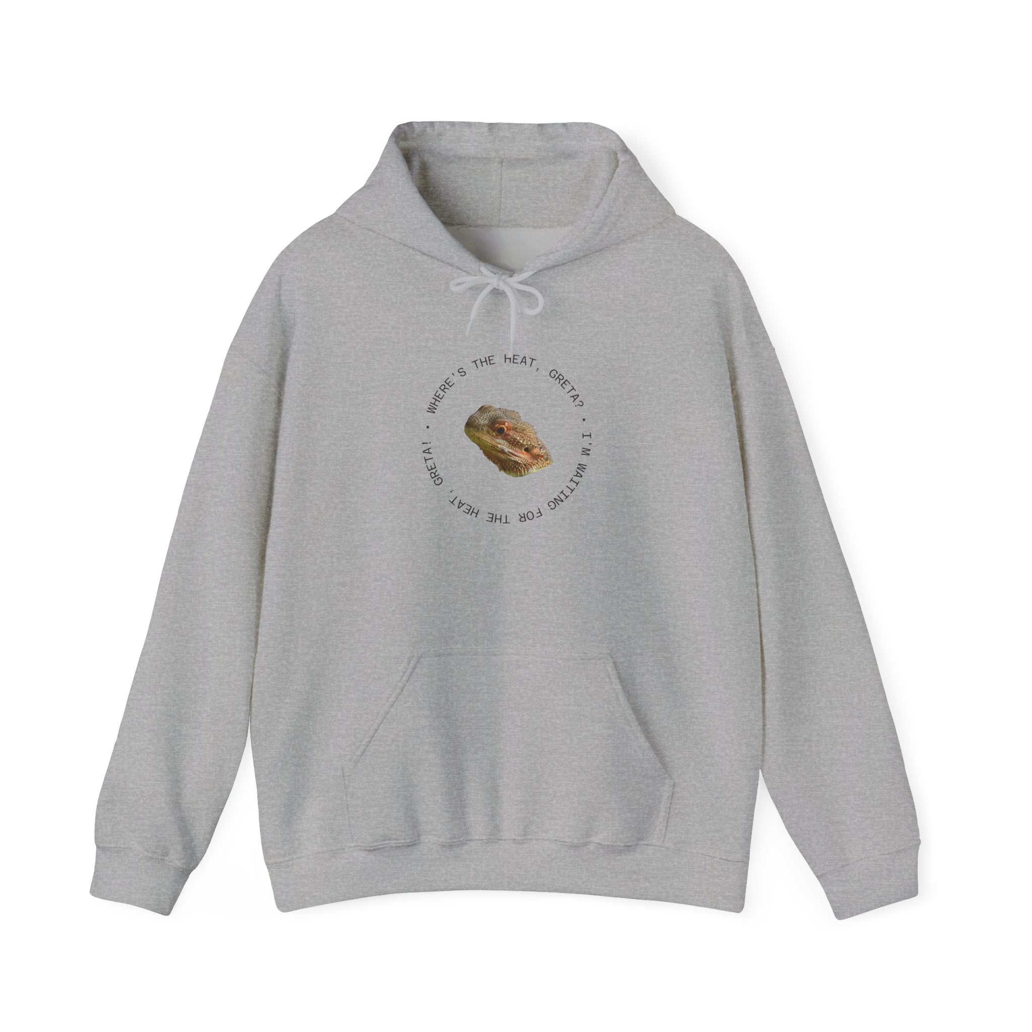 Bearded Dragon Funny, Cozy Motivational Sweatshirt for Everyday Comfort, Unisex Hoodie, Inspirational Gift for Friends, Relaxed Fit, Perfect for Holidays