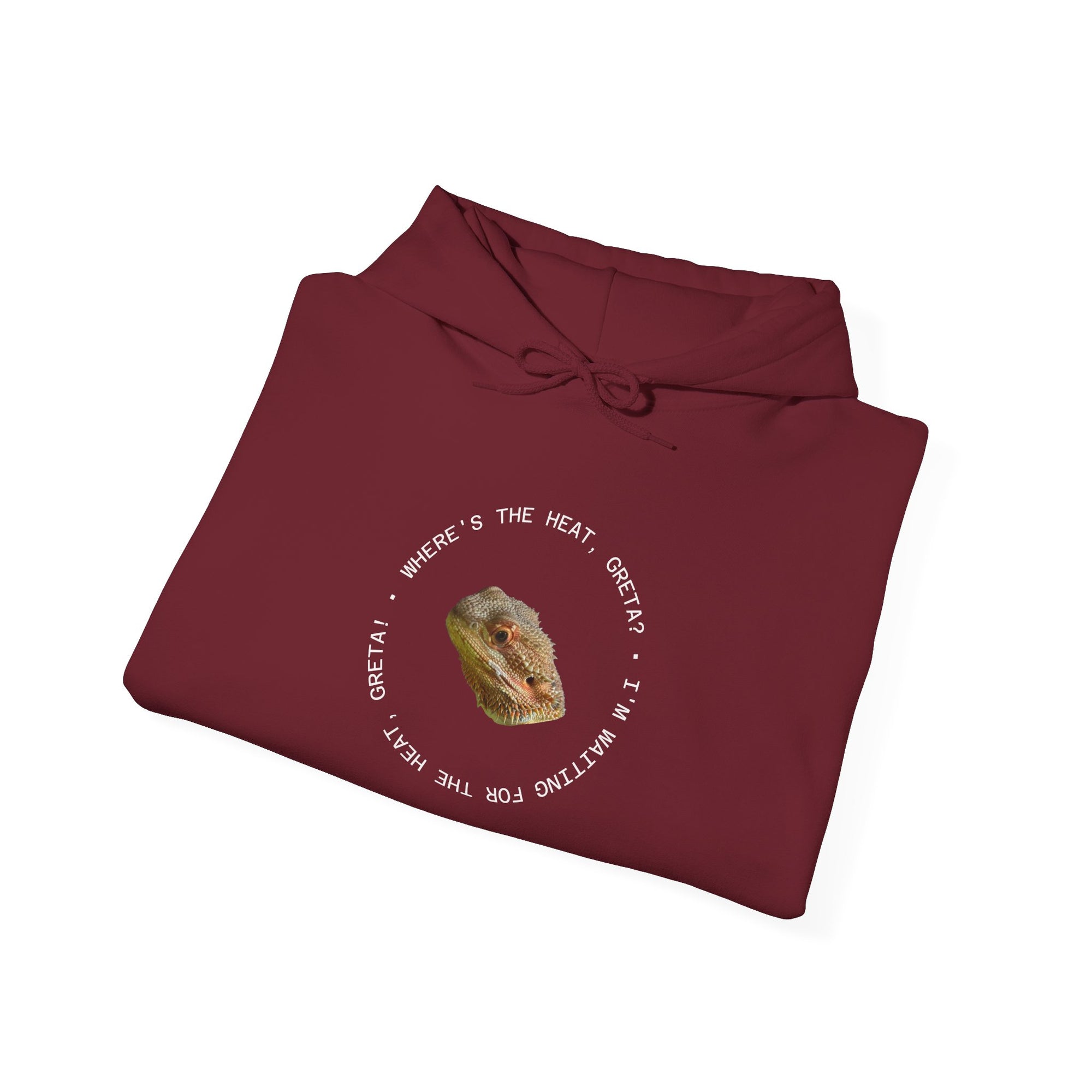 Bearded Dragon Funny, Cozy Motivational Sweatshirt for Everyday Comfort, Unisex Hoodie, Inspirational Gift for Friends, Relaxed Fit, Perfect for Holidays