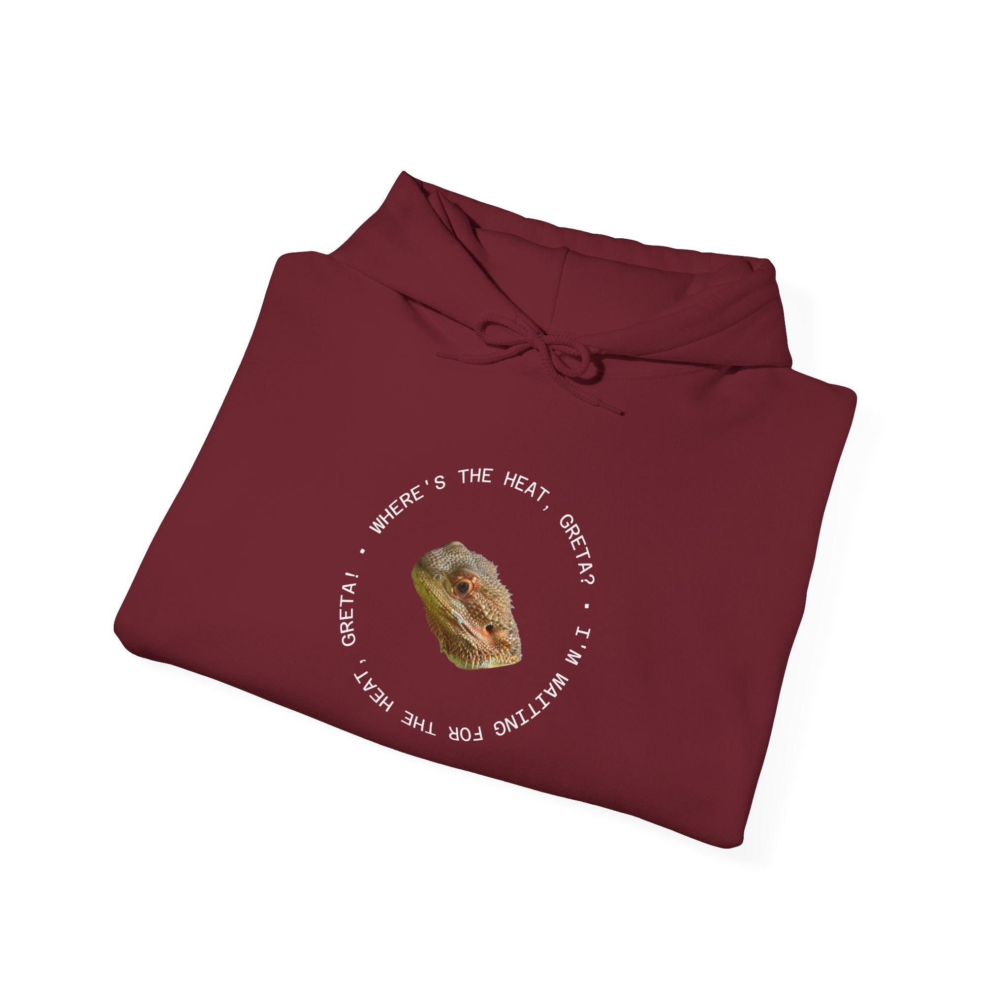 Bearded Dragon Funny, Cozy Motivational Sweatshirt for Everyday Comfort, Unisex Hoodie, Inspirational Gift for Friends, Relaxed Fit, Perfect for Holidays