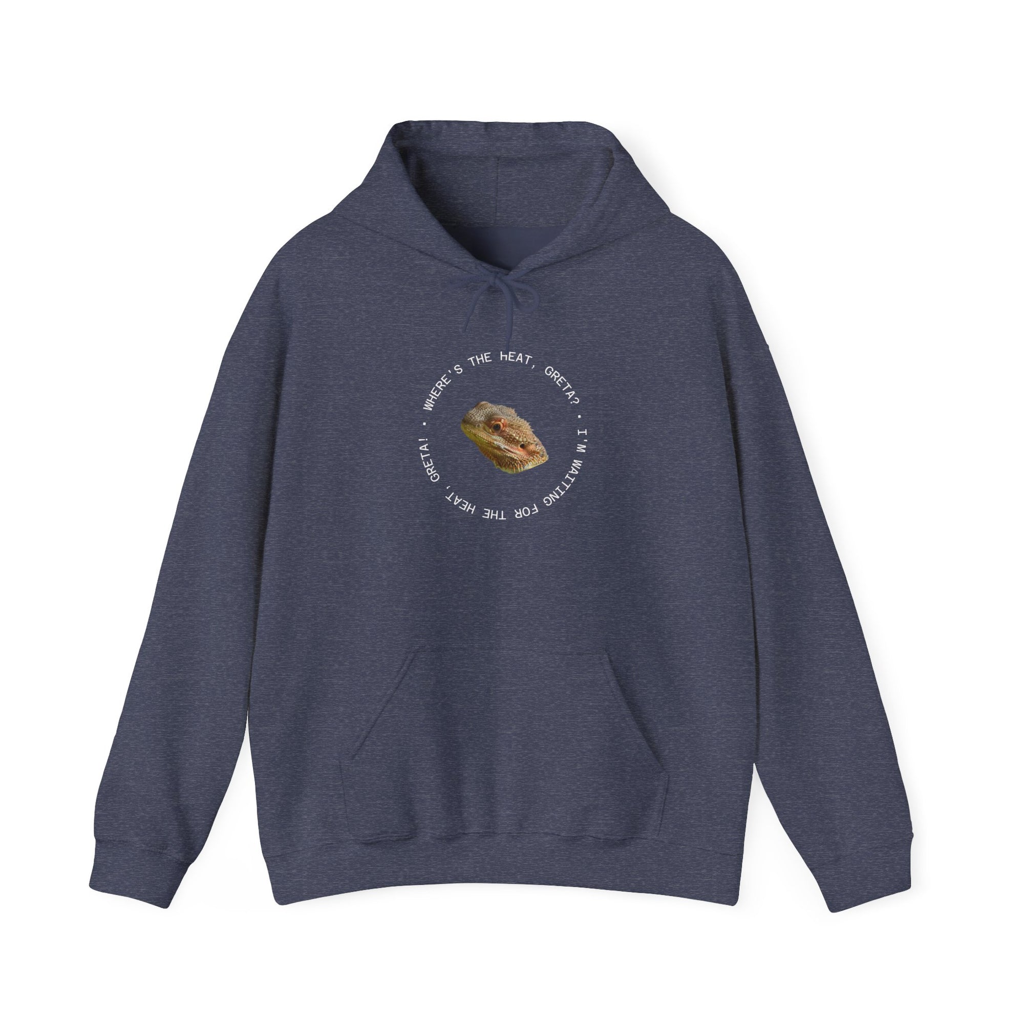Bearded Dragon Funny, Cozy Motivational Sweatshirt for Everyday Comfort, Unisex Hoodie, Inspirational Gift for Friends, Relaxed Fit, Perfect for Holidays