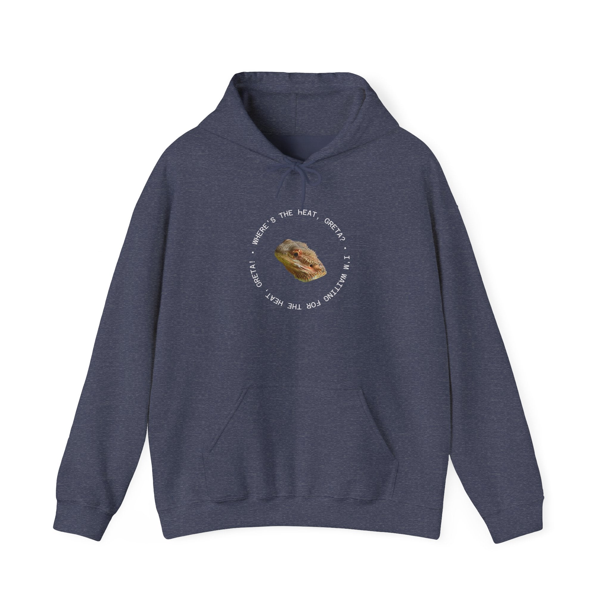 Bearded Dragon Funny, Cozy Motivational Sweatshirt for Everyday Comfort, Unisex Hoodie, Inspirational Gift for Friends, Relaxed Fit, Perfect for Holidays