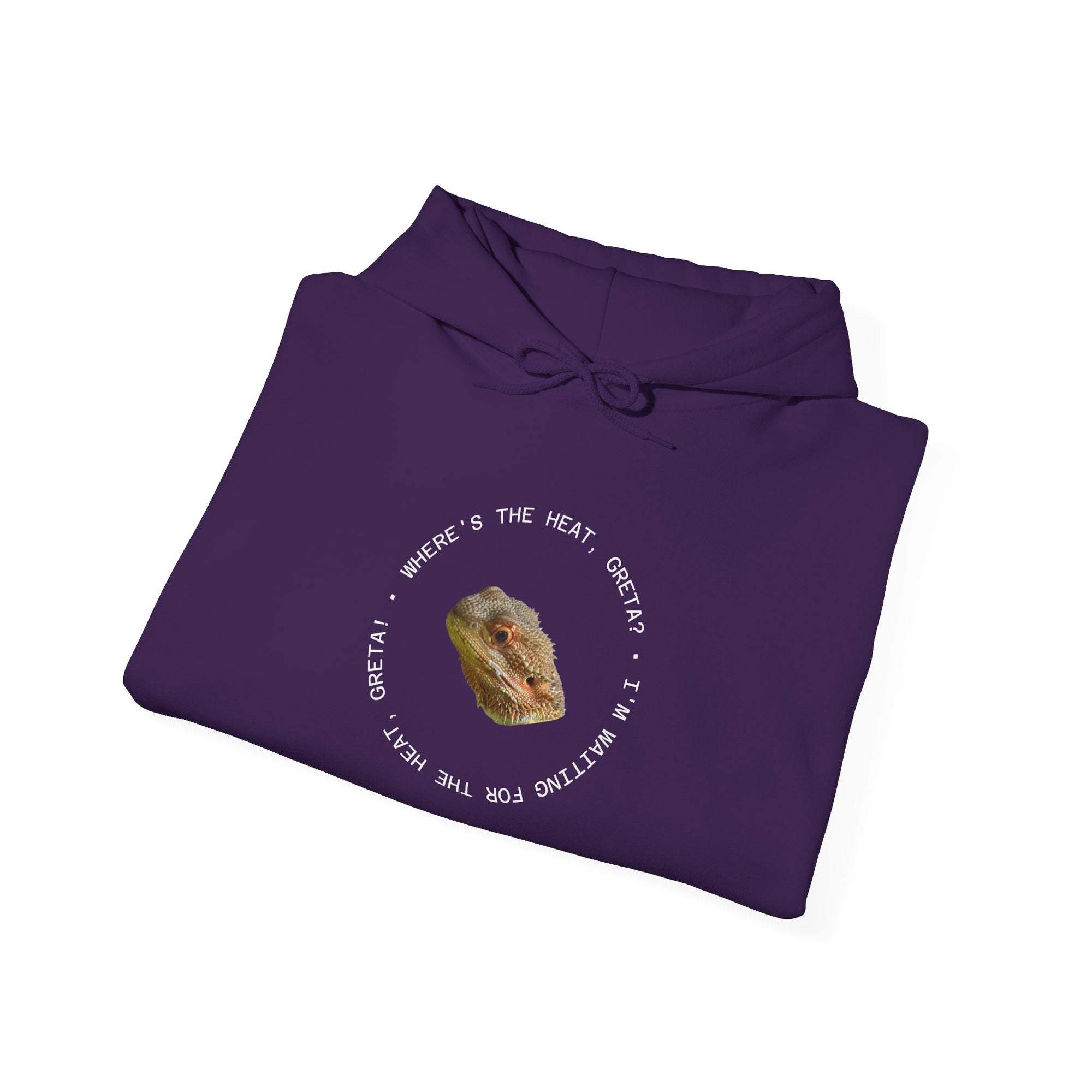 Bearded Dragon Funny, Cozy Motivational Sweatshirt for Everyday Comfort, Unisex Hoodie, Inspirational Gift for Friends, Relaxed Fit, Perfect for Holidays