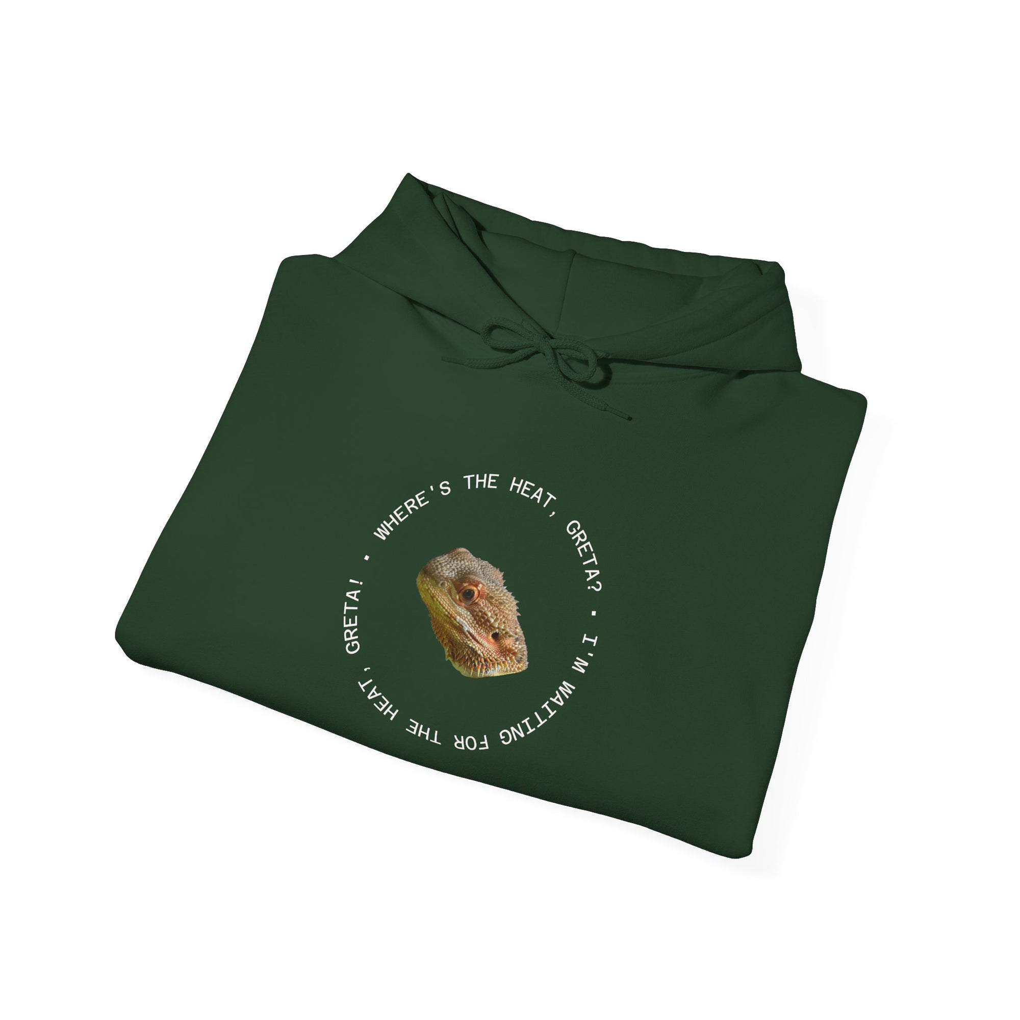Bearded Dragon Funny, Cozy Motivational Sweatshirt for Everyday Comfort, Unisex Hoodie, Inspirational Gift for Friends, Relaxed Fit, Perfect for Holidays
