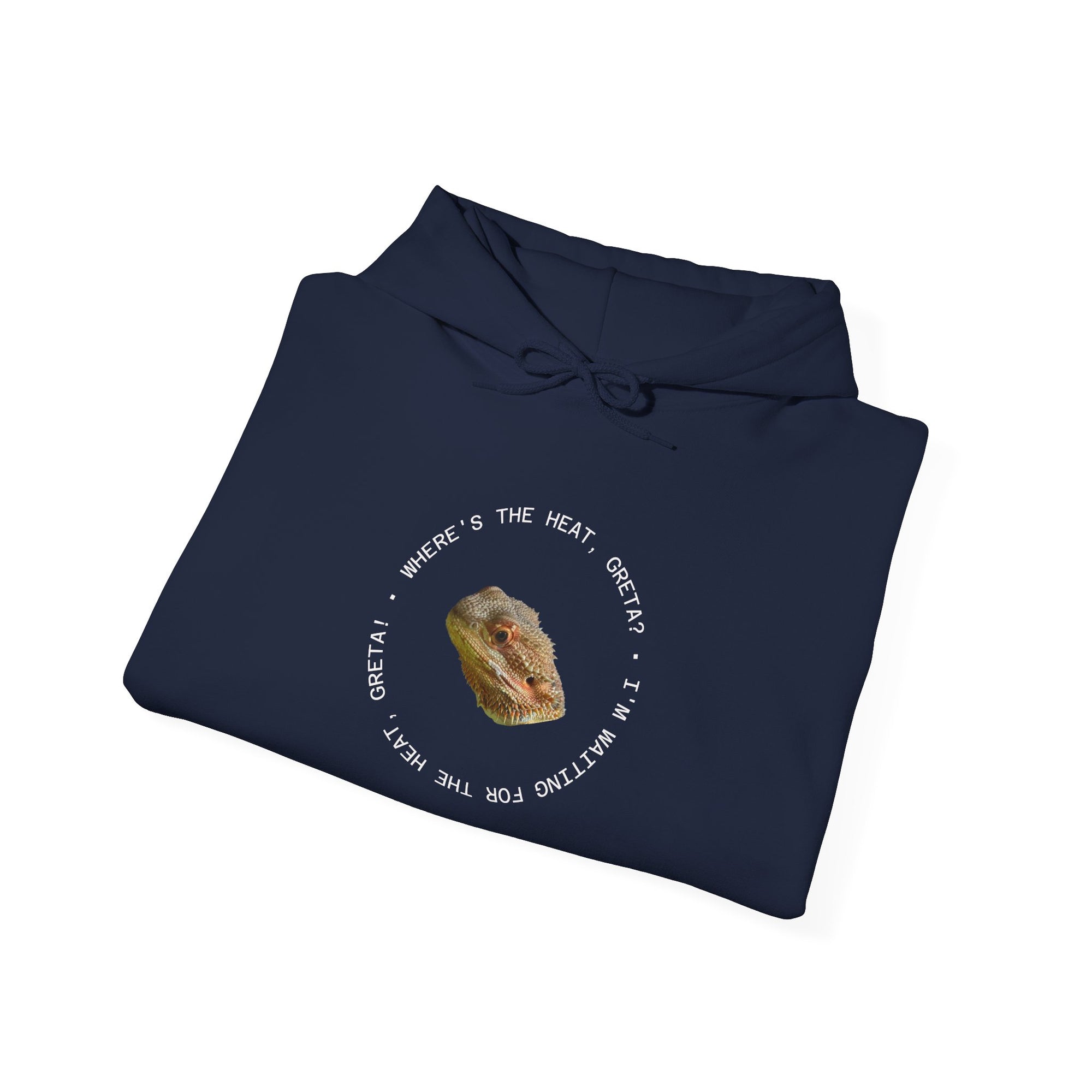 Bearded Dragon Funny, Cozy Motivational Sweatshirt for Everyday Comfort, Unisex Hoodie, Inspirational Gift for Friends, Relaxed Fit, Perfect for Holidays