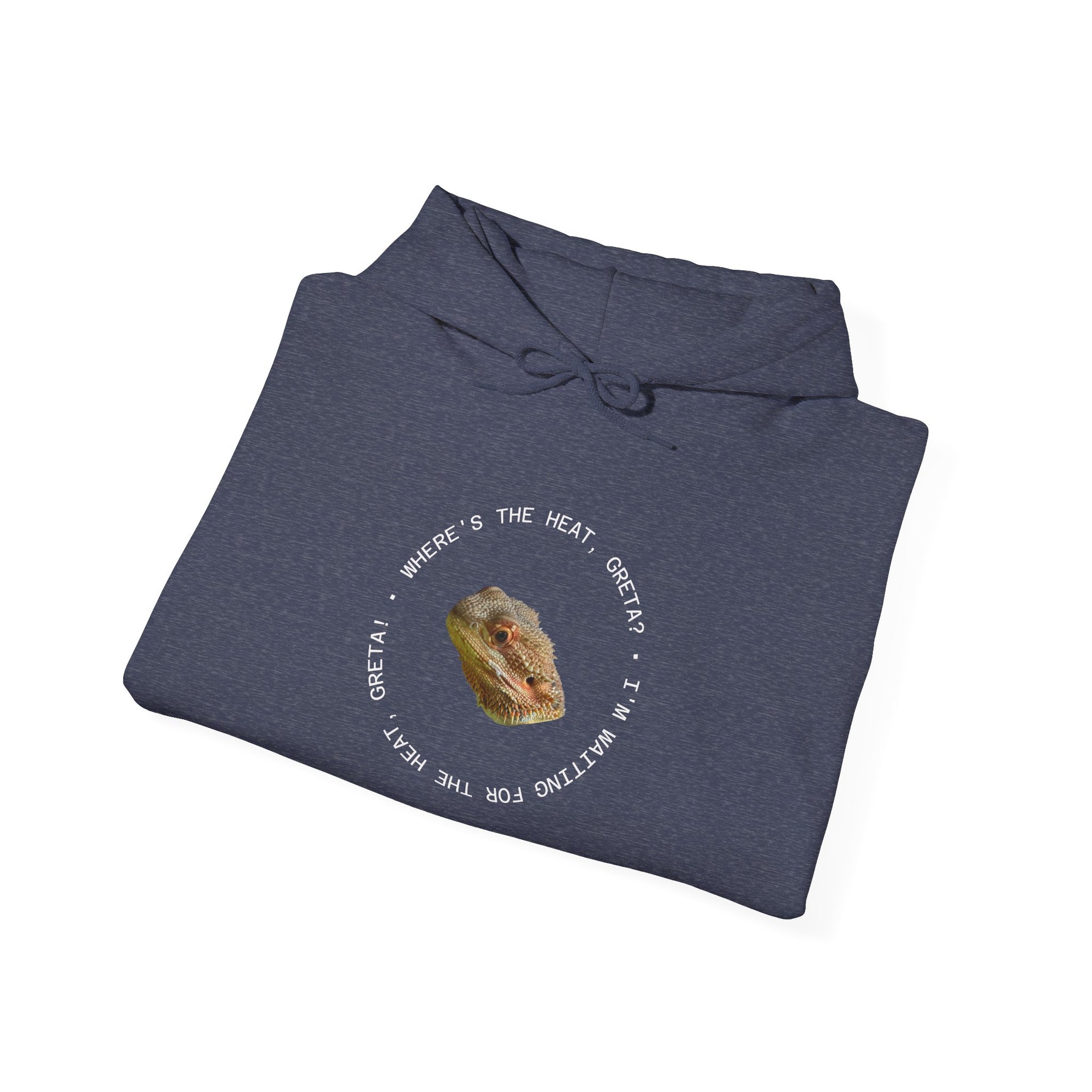 Bearded Dragon Funny, Cozy Motivational Sweatshirt for Everyday Comfort, Unisex Hoodie, Inspirational Gift for Friends, Relaxed Fit, Perfect for Holidays
