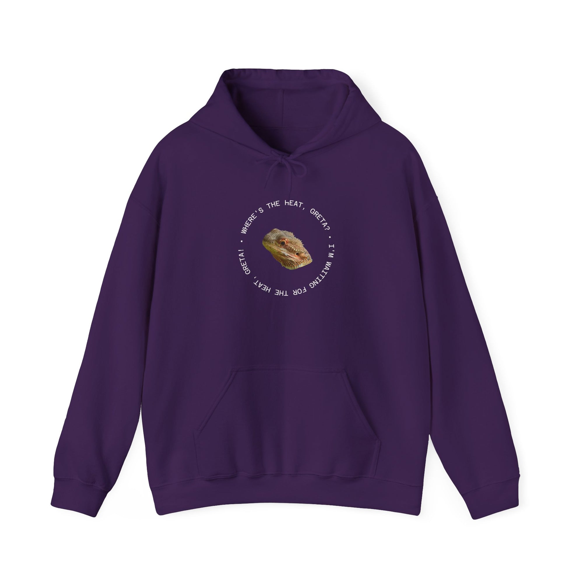 Bearded Dragon Funny, Cozy Motivational Sweatshirt for Everyday Comfort, Unisex Hoodie, Inspirational Gift for Friends, Relaxed Fit, Perfect for Holidays