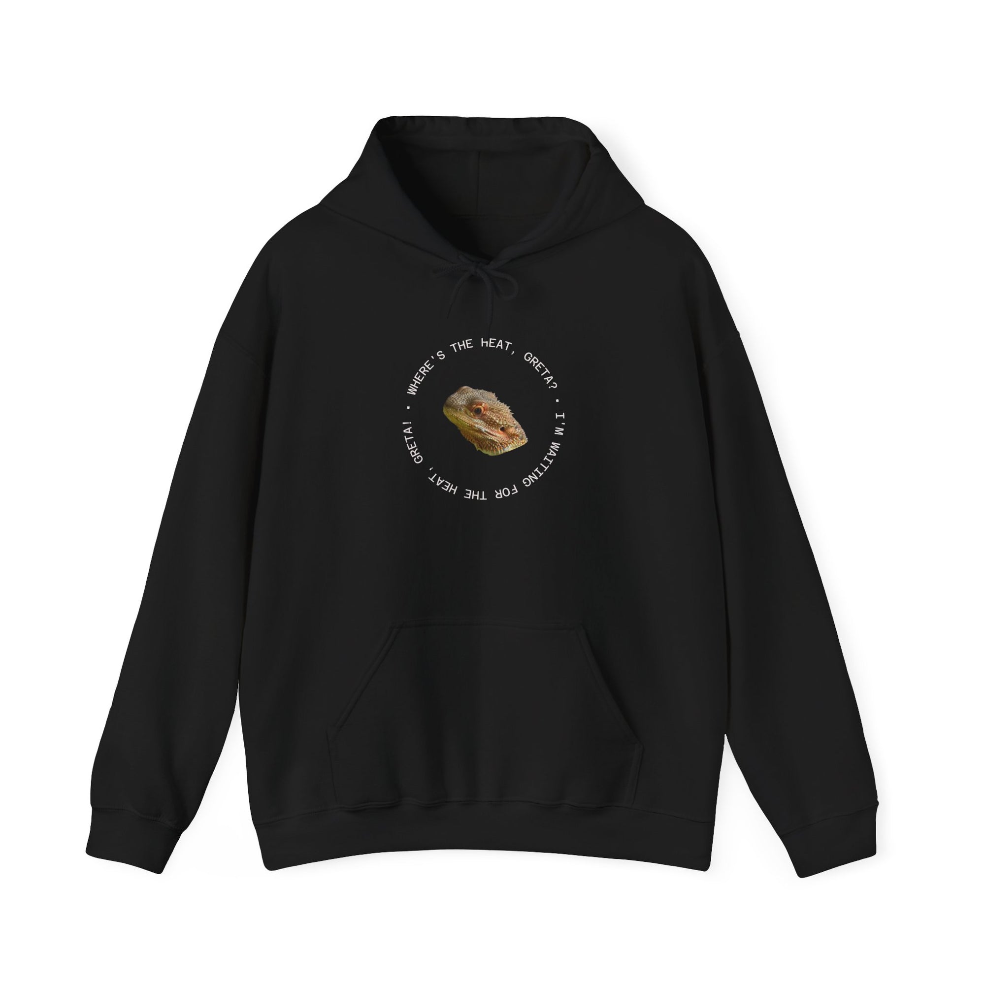 Bearded Dragon Funny, Cozy Motivational Sweatshirt for Everyday Comfort, Unisex Hoodie, Inspirational Gift for Friends, Relaxed Fit, Perfect for Holidays
