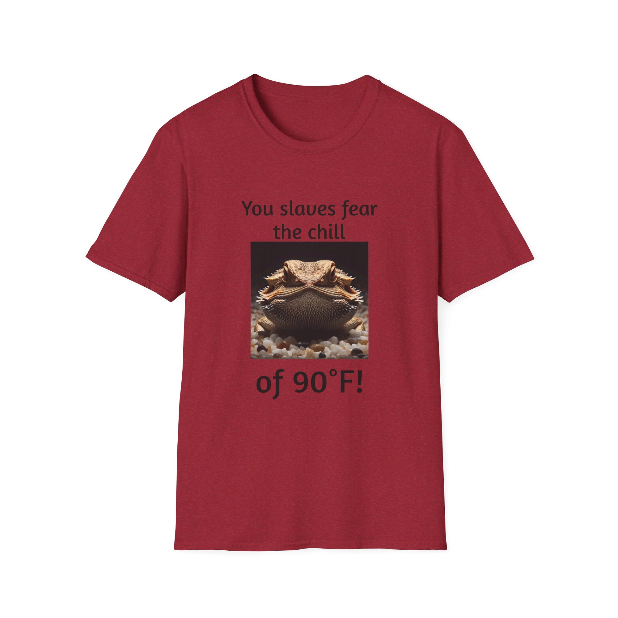 Funny Bearded Dragon Unisex T-Shirt, Humor Apparel, Animal Lover Gift, Casual Wear, Summer Tee, Meme Shirt