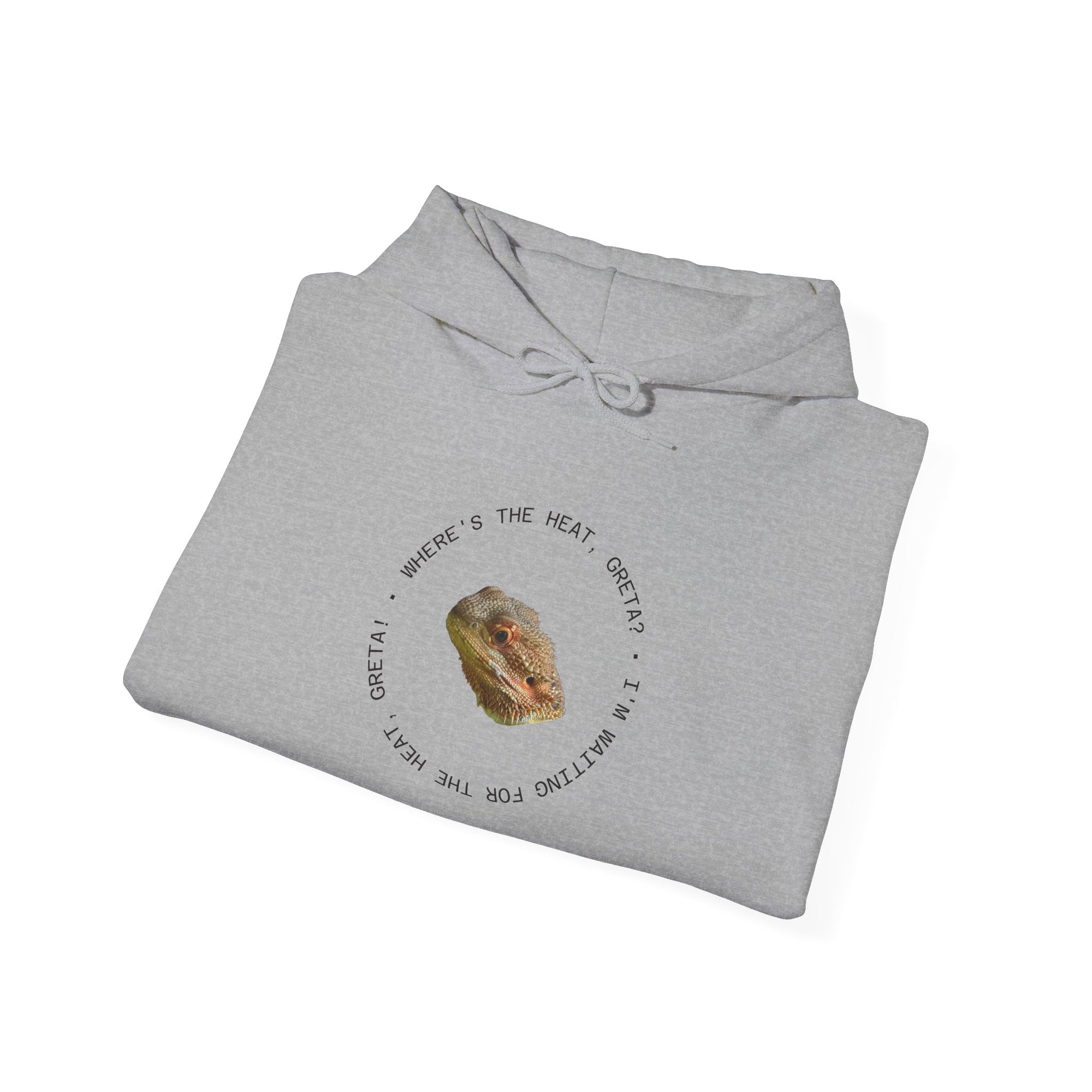 Bearded Dragon Funny, Cozy Motivational Sweatshirt for Everyday Comfort, Unisex Hoodie, Inspirational Gift for Friends, Relaxed Fit, Perfect for Holidays